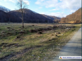 teren-intravilan-5000-mp-de-vanzare-in-berevoiesti-ideal-pentru-dezvoltari-rezidentiale-4