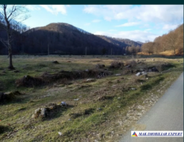 teren-intravilan-5000-mp-de-vanzare-in-berevoiesti-ideal-pentru-dezvoltari-rezidentiale-5