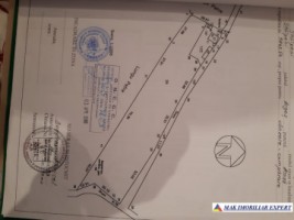 casa-musceleana-2-canere-teren-8000-mp-stalpeni-1
