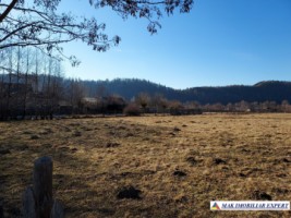 tteren-intravilan-119-ha-tarina-leresti-arges-potrivit-pentru-dezvoltare-rezidentiala-2