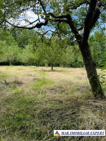 teren-3230-mp-intravilan-matau-mioarele-suslanesti