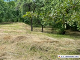 teren-3230-mp-intravilan-matau-mioarele-suslanesti-1