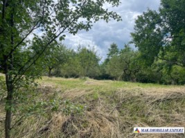 teren-3230-mp-intravilan-matau-mioarele-suslanesti-2