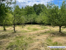 teren-3230-mp-intravilan-matau-mioarele-suslanesti-3