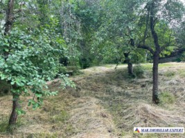 teren-3230-mp-intravilan-matau-mioarele-suslanesti-5