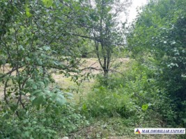 teren-3230-mp-intravilan-matau-mioarele-suslanesti-6
