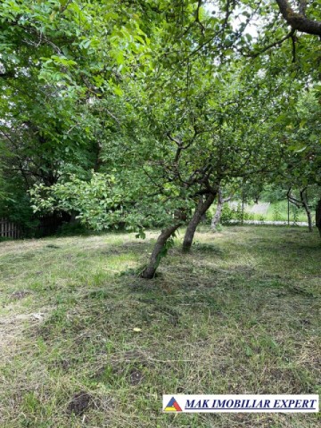 teren-3230-mp-intravilan-matau-mioarele-suslanesti-4