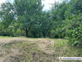 teren-3230-mp-intravilan-matau-mioarele-suslanesti-7