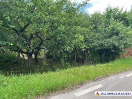 teren-3230-mp-intravilan-matau-mioarele-suslanesti-8