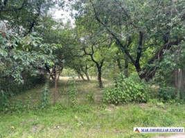 teren-3230-mp-intravilan-matau-mioarele-suslanesti-9