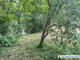 teren-3230-mp-intravilan-matau-mioarele-suslanesti-10