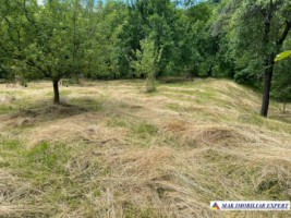 teren-3230-mp-intravilan-matau-mioarele-suslanesti-12