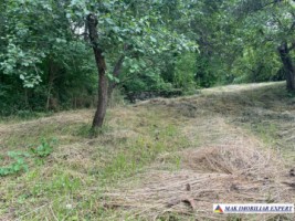 teren-3230-mp-intravilan-matau-mioarele-suslanesti-11