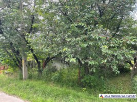 teren-3230-mp-intravilan-matau-mioarele-suslanesti-13