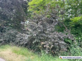 teren-3230-mp-intravilan-matau-mioarele-suslanesti-14