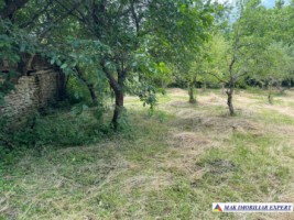 teren-3230-mp-intravilan-matau-mioarele-suslanesti-15