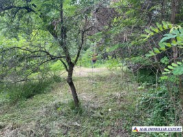 teren-3230-mp-intravilan-matau-mioarele-suslanesti-16