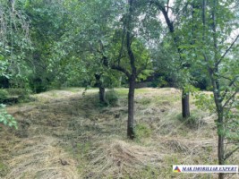 teren-3230-mp-intravilan-matau-mioarele-suslanesti-17