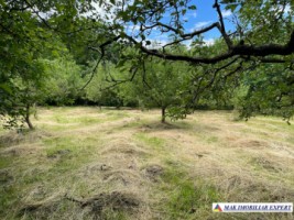 teren-3230-mp-intravilan-matau-mioarele-suslanesti-18