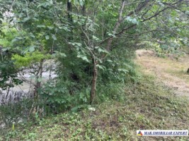 teren-3230-mp-intravilan-matau-mioarele-suslanesti-19