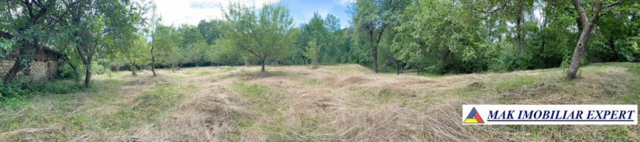 teren-3230-mp-intravilan-matau-mioarele-suslanesti-21