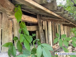 teren-3230-mp-intravilan-matau-mioarele-suslanesti-24