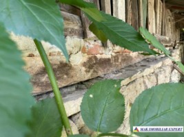 teren-3230-mp-intravilan-matau-mioarele-suslanesti-25