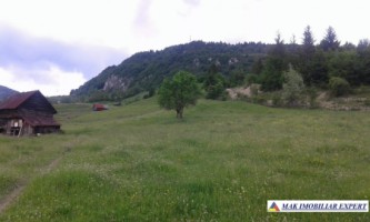 teren-intravilan-28-ha-de-vanzare-rucar-arges-ideal-pentru-dezvoltari-rezidentiale-proiecte-turistice