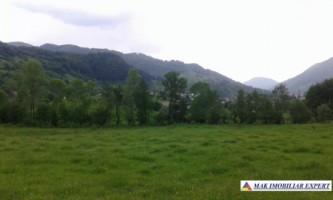 teren-intravilan-28-ha-de-vanzare-rucar-arges-ideal-pentru-dezvoltari-rezidentiale-proiecte-turistice-1