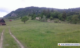 teren-intravilan-28-ha-de-vanzare-rucar-arges-ideal-pentru-dezvoltari-rezidentiale-proiecte-turistice-2