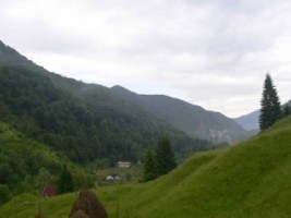 teren-intravilan-2428-mp-de-vanzare-rucar-satic-arges-ideal-pentru-constructii-rezidentiale-sau-proiecte-turistice-1