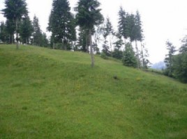 teren-intravilan-2428-mp-de-vanzare-rucar-satic-arges-ideal-pentru-constructii-rezidentiale-sau-proiecte-turistice-2