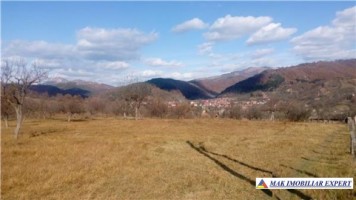 vand-teren-1000-mp-intravilan-stoenesti-cotenesti-arges