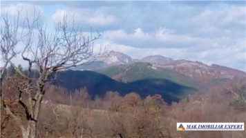 vand-teren-1000-mp-intravilan-stoenesti-cotenesti-arges-2