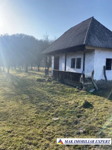 teren-intravilan-3800-mp-de-vanzare-nucsoara-arges-3