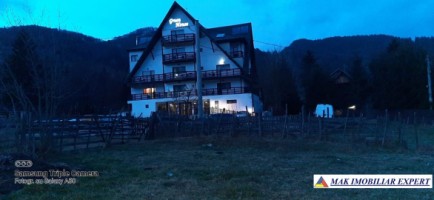 teren-intravilan-2000-mp-de-vanzare-in-podul-dambovitei-dambovicioara-arges-ideal-pentru-proiecte-rezidentiale-si-turistice-3