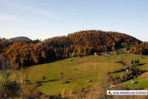 teren-6770-mp-intraextravilan-de-vanzare-in-valea-urdii-dambovicioara-arges-potrivit-pentru-proiecte-turistice-si-rezidential-2