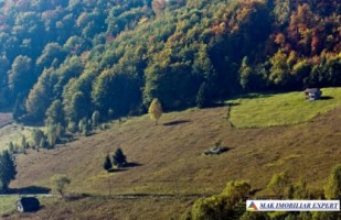 teren-6770-mp-intraextravilan-de-vanzare-in-valea-urdii-dambovicioara-arges-potrivit-pentru-proiecte-turistice-si-rezidential-1