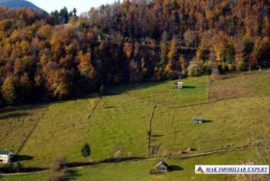 teren-6770-mp-intraextravilan-de-vanzare-in-valea-urdii-dambovicioara-arges-potrivit-pentru-proiecte-turistice-si-rezidential-5