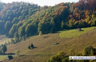 teren-6770-mp-intraextravilan-de-vanzare-in-valea-urdii-dambovicioara-arges-potrivit-pentru-proiecte-turistice-si-rezidential-3