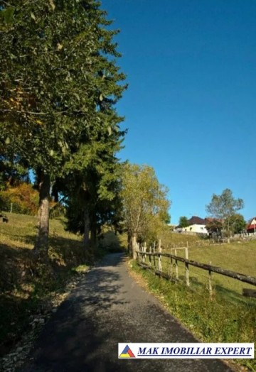 teren-6770-mp-intraextravilan-de-vanzare-in-valea-urdii-dambovicioara-arges-potrivit-pentru-proiecte-turistice-si-rezidential-4