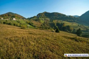 teren-6770-mp-intraextravilan-de-vanzare-in-valea-urdii-dambovicioara-arges-potrivit-pentru-proiecte-turistice-si-rezidential-6