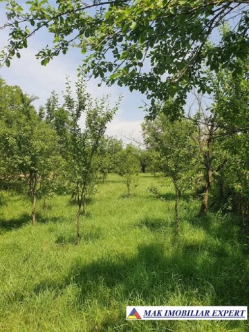 teren-2000-mp-intravilan-de-vanzare-in-radesti-stalpeni-arges-3