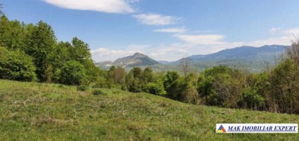teren-extravilan-de-1-ha-si-4000-mp-ideal-pentru-pomicultura-sau-proiecte-rezidentiale-situat-in-valea-mare-pravat-arges-3