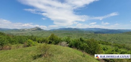 teren-extravilan-de-1-ha-si-4000-mp-ideal-pentru-pomicultura-sau-proiecte-rezidentiale-situat-in-valea-mare-pravat-arges-5