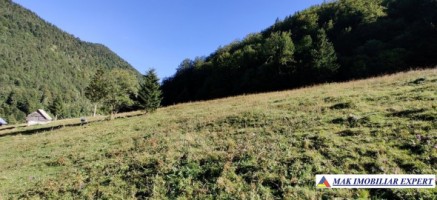 teren-4928-mp-intraextravilan-de-vanzare-in-valea-urdii-dambovicioara-arges-1
