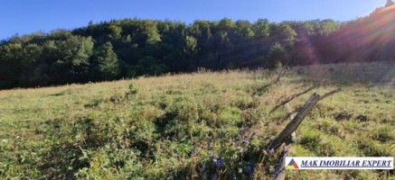 teren-4928-mp-intraextravilan-de-vanzare-in-valea-urdii-dambovicioara-arges