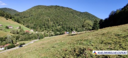 teren-4928-mp-intraextravilan-de-vanzare-in-valea-urdii-dambovicioara-arges-3