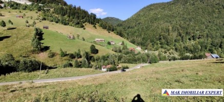 teren-4928-mp-intraextravilan-de-vanzare-in-valea-urdii-dambovicioara-arges-2