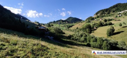 teren-4928-mp-intraextravilan-de-vanzare-in-valea-urdii-dambovicioara-arges-4